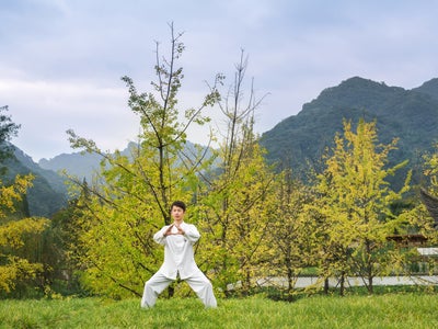 山と曇り空を背景に、緑に囲まれた芝生の上で太極拳のポーズをとる男性。.