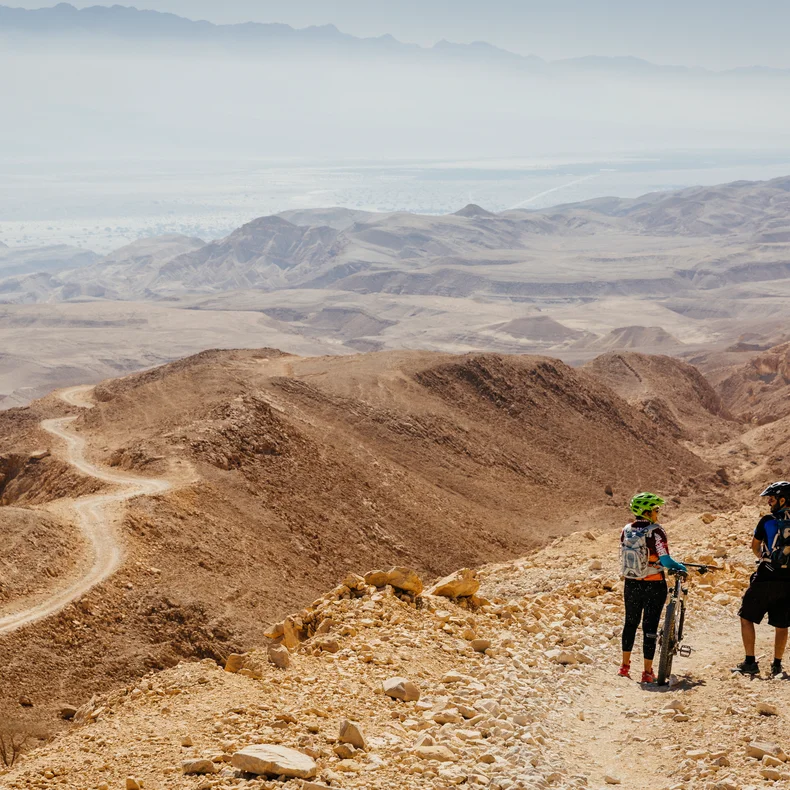 Guests explore a rugged trail with mountain bikes, gazing over rolling hills and a softly lit horizon beneath an expansive sky.