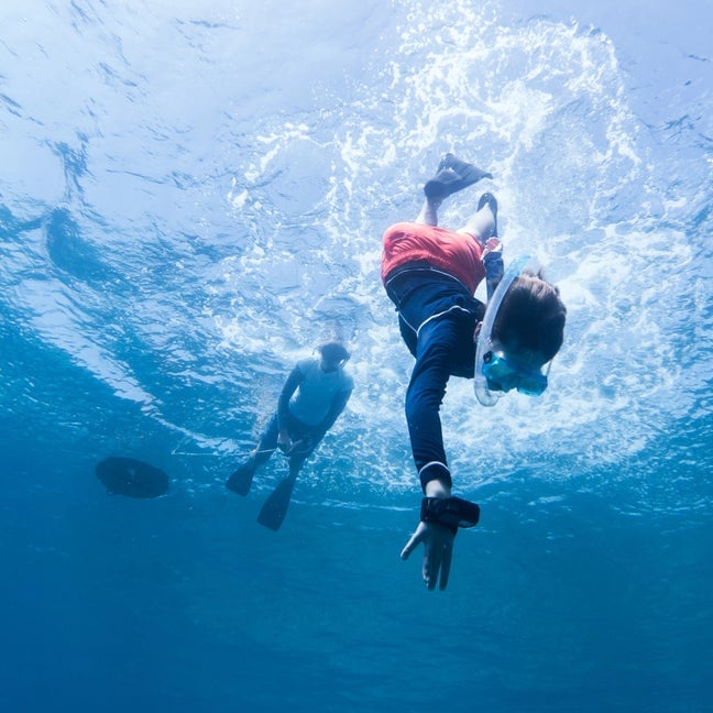Junior Marine Biology