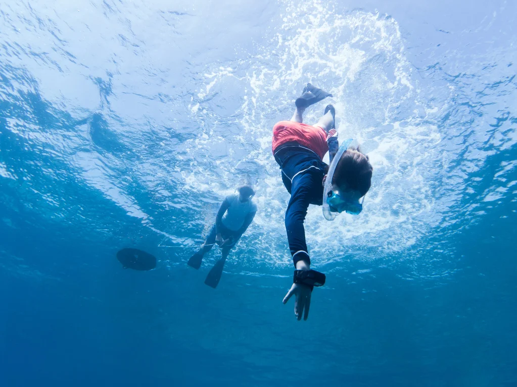 Junior Marine Biology