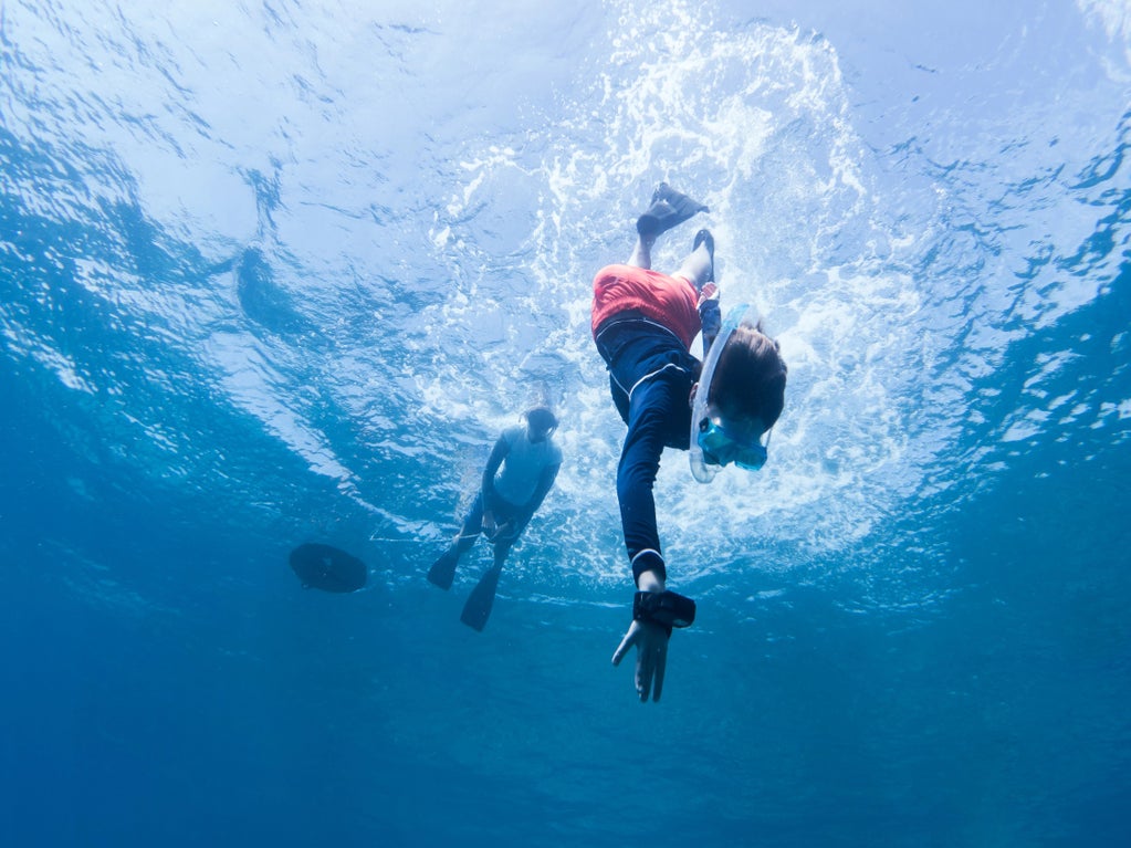 Junior Marine Biology in the Maldives