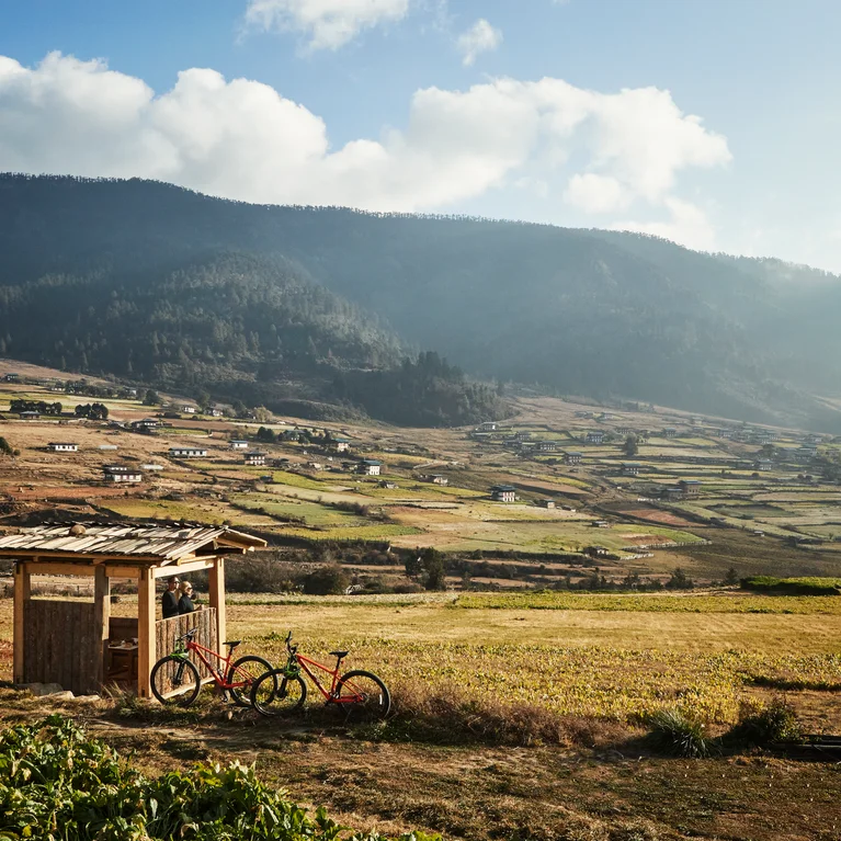 绿色和金色相间的田野向森林山丘的背景延伸,两辆自行车停在木制的遮雨棚旁,头顶是柔和的云朵。.
