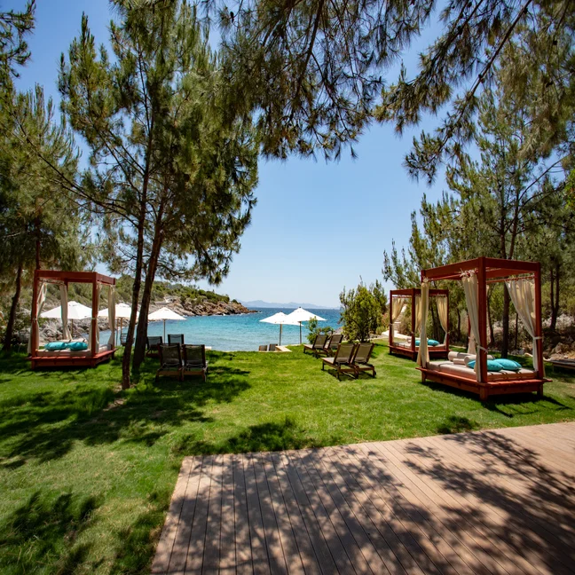 Cabanas and loungers rest on grass above a sandy shore and calm blue water, bordered by trees and illuminated with natural sunlight.