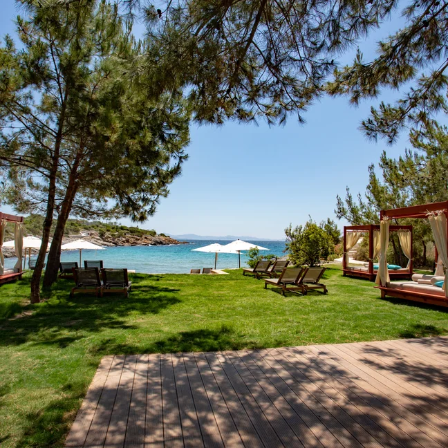 Cabanas and loungers rest on grass above a sandy shore and calm blue water, bordered by trees and illuminated with natural sunlight.