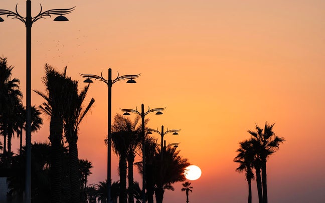Evening light filters through silhouettes of palm trees, highlighting the natural landscape and calm atmosphere.