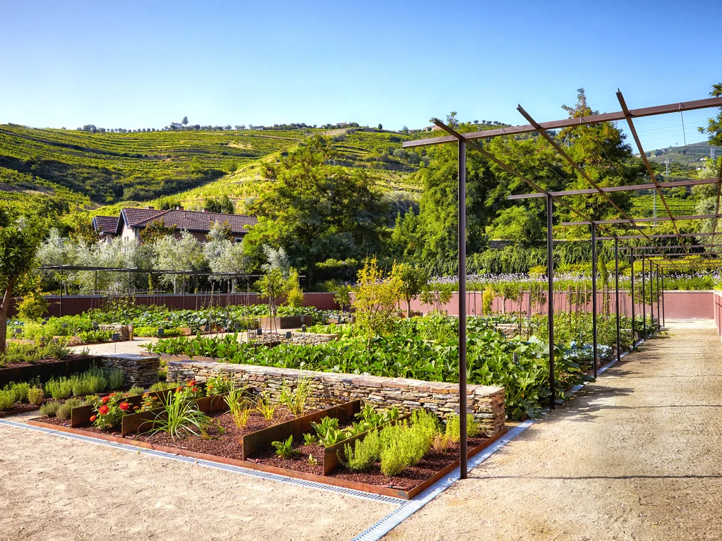 Visita ao Jardim Orgânico