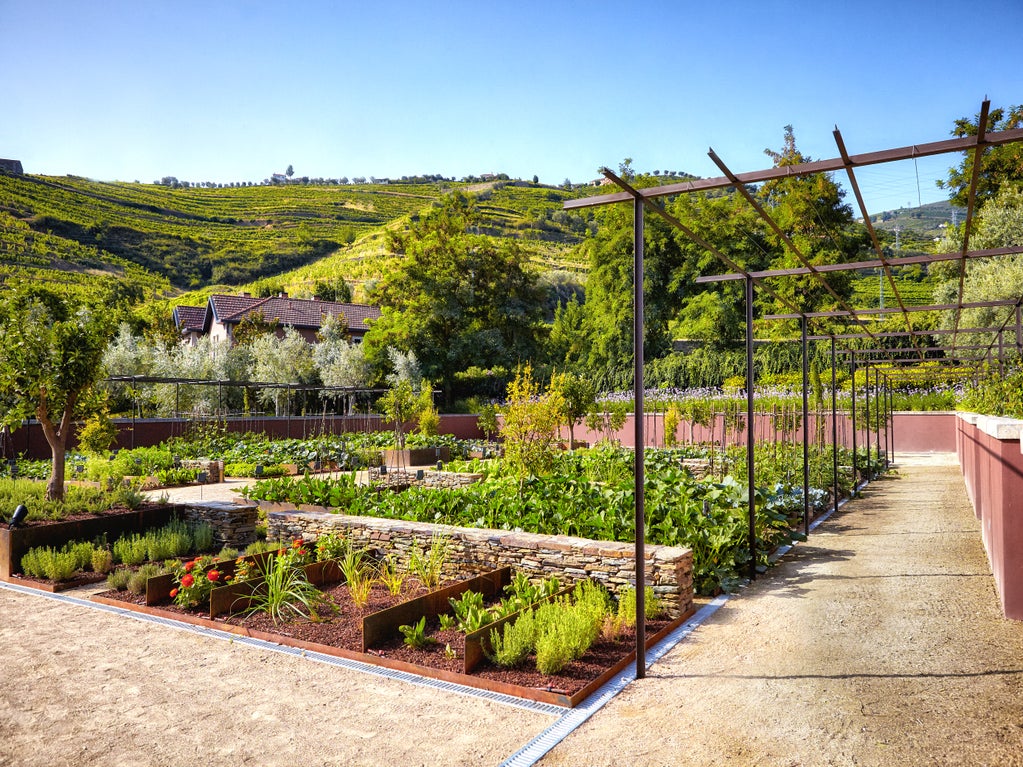 Organic Garden Tour