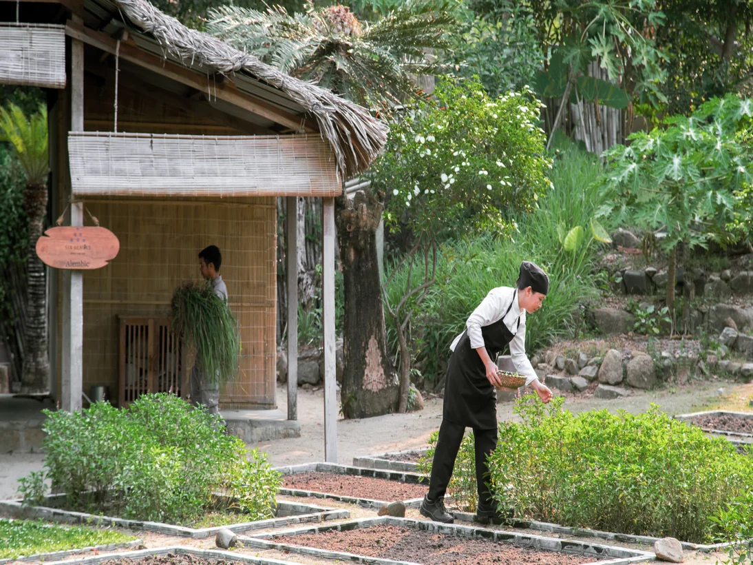 Six Senses Ninh Van Bay boat-only eco-wellness pool villa wedding Vietnam