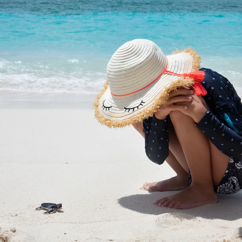 A young guest observes a baby sea turtle making its way across the sand toward the ocean, highlighting Six Senses’ commitment to nature and local wildlife conservation.