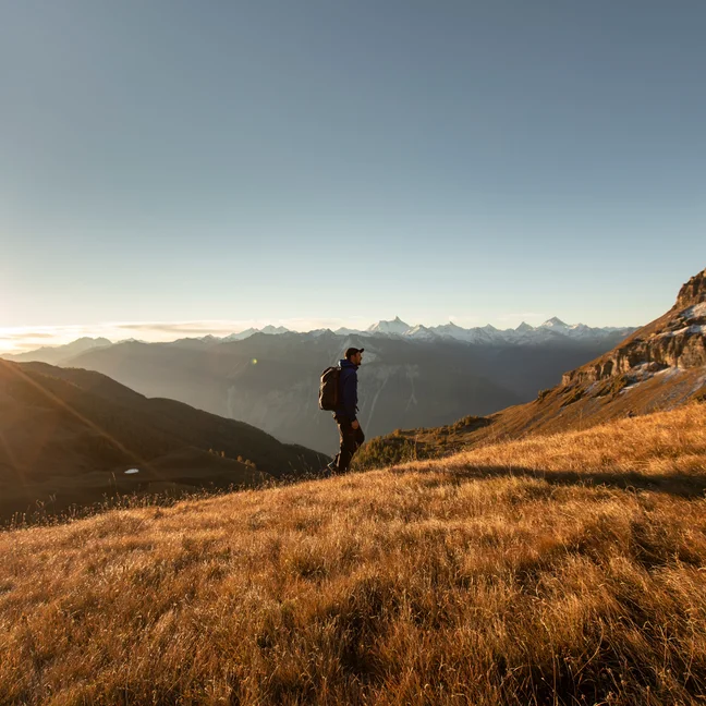 Une personne profitant d'une promenade matinale sur une colline verdoyante, sous une lumière douce qui illumine les montagnes au loin et un ciel limpide.