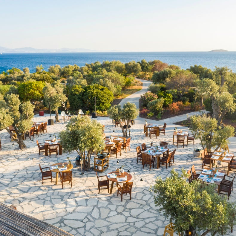 La zona de comedor con mesa y sillas de madera en el patio de piedra entre los árboles ofrece vistas al mar a la luz del día.
