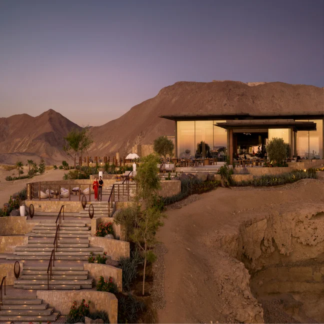 Contemporary building with expansive windows in a desert setting at dusk; illuminated stone steps lead up, guests outdoors walking and relaxing.