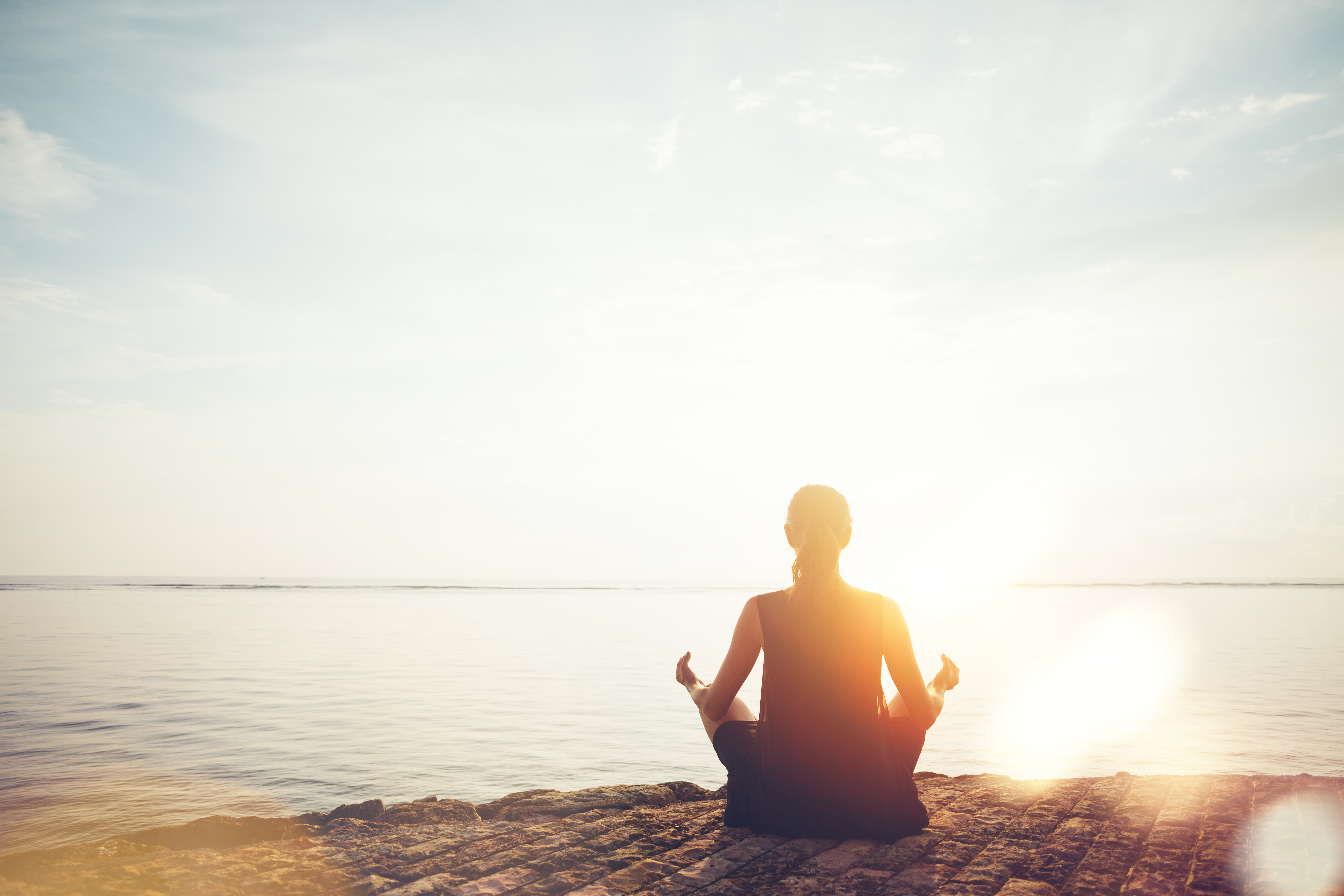 Shoreline wellness