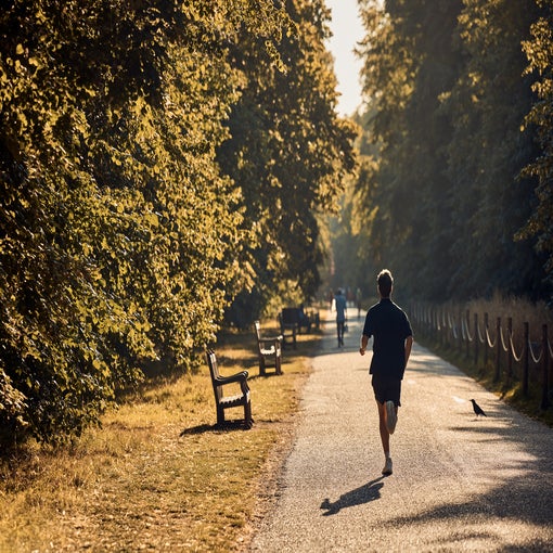 Someone jogs along a sunlit park path bordered by trees and benches; a bird stands nearby and a few others walk in the background.