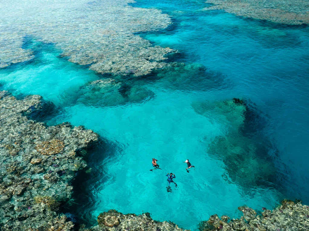 Ocean Flow