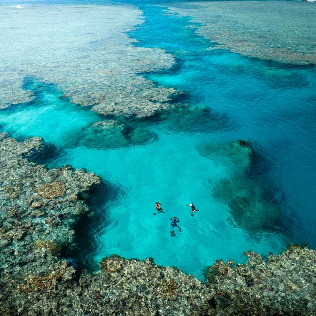 Snorkelers explore marine life and healthy coral in clear water, with sunlight illuminating the ocean’s blue tones—nature and wellness in harmony.