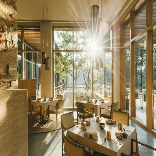 Alchemy of Taste: A Culinary Retreat at Six Senses Vana