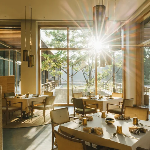 Alchemy of Taste: A Culinary Journey Retreat at Six Senses Vana