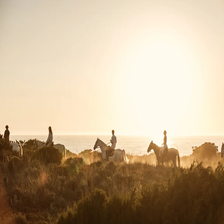 Guests on horseback move along a coastal trail in the evening light, with the sun near the horizon and waves stretching behind them.