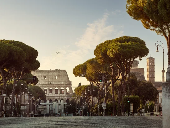 The Colosseum