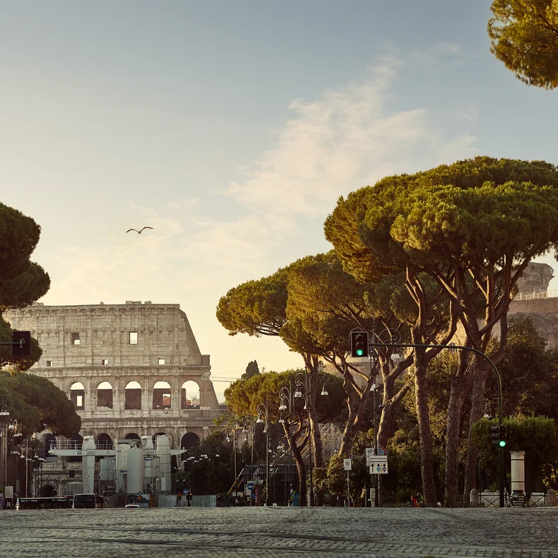 The Colosseum in Rome stands behind pine trees, with softly lit empty streets and street lamps, captured at sunrise for a peaceful early morning atmosphere.