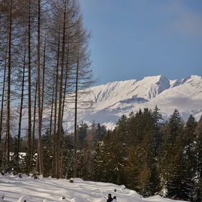 Diversión en la nieve