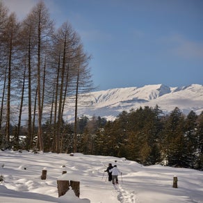 雪地欢乐时光