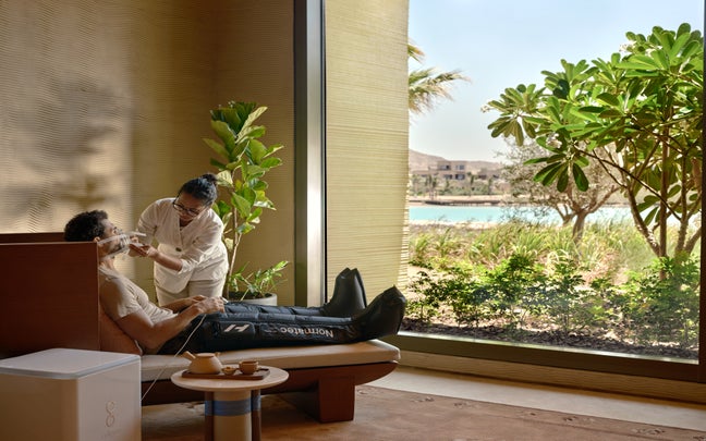 Guest enjoys a wellness therapy with a skilled practitioner in a sunlit space, featuring floor-to-ceiling windows and views of lush gardens.