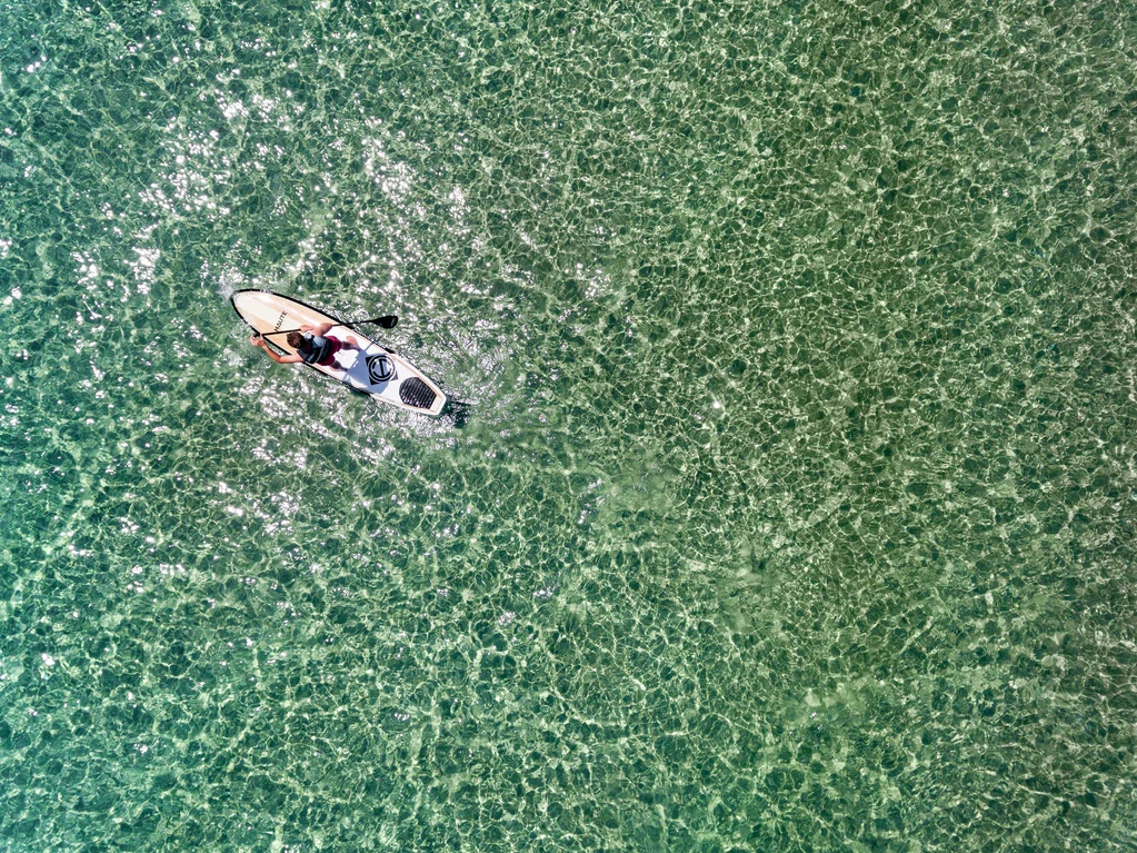 Водные виды спорта