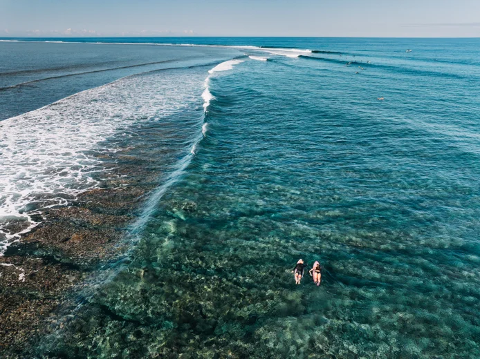 Two people paddle on surfboards through clear, shallow ocean near a gentle wave and thriving coral reef, highlighting connection to nature's tranquility.