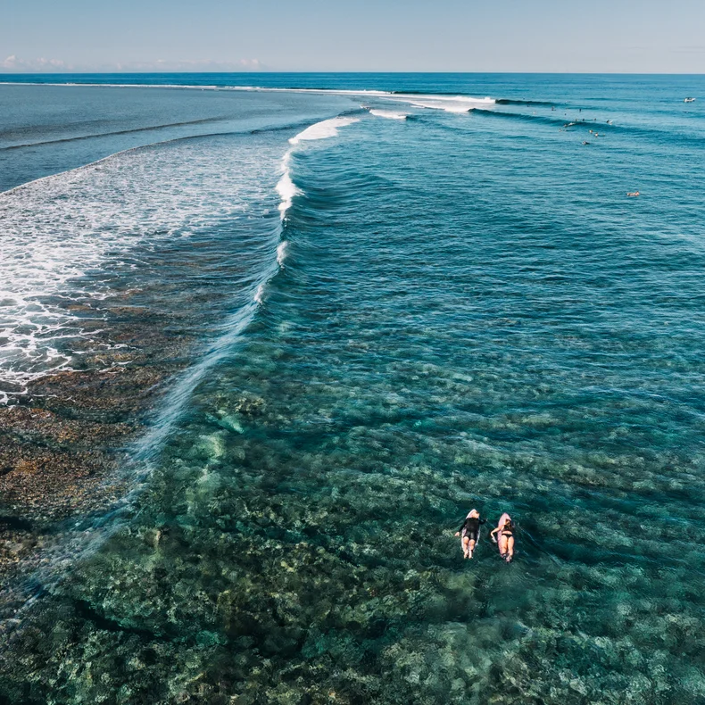 Two people paddle on surfboards through clear, shallow ocean near a gentle wave and thriving coral reef, highlighting connection to nature's tranquility.