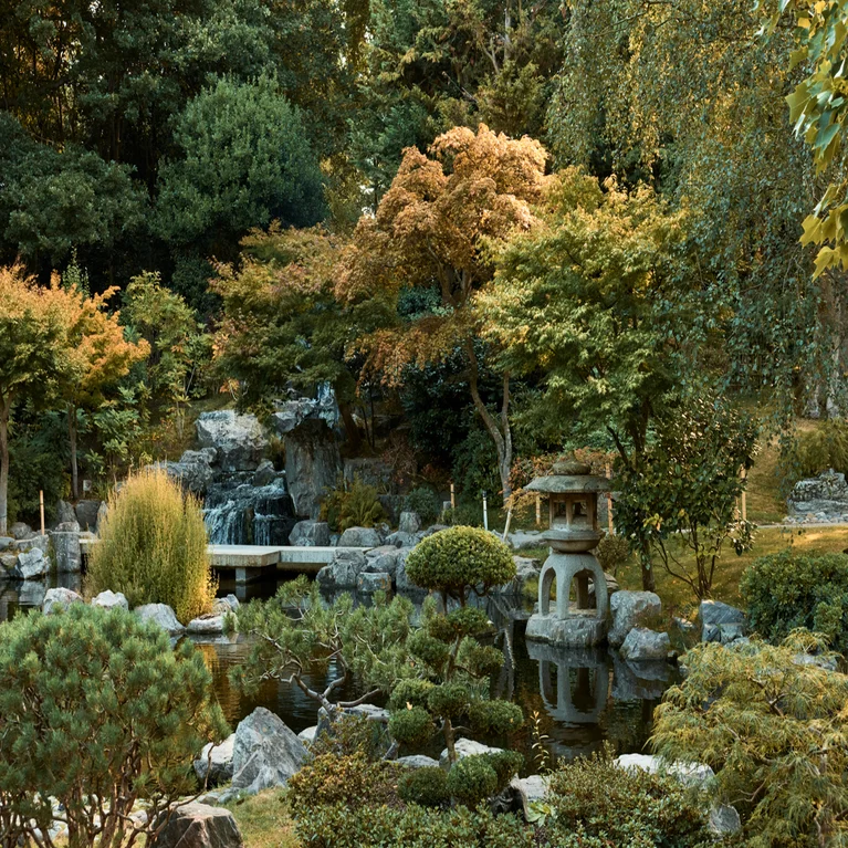 Một khu vườn Nhật Bản với hồ nước, đèn đá, những bụi cây được chạm trổ tinh xảo và thác nước nhỏ nằm giữa những tán cây xanh và vàng. Thiết kế được trau chuốt kỹ lưỡng này khơi gợi cảm giác thiền định và bình an.