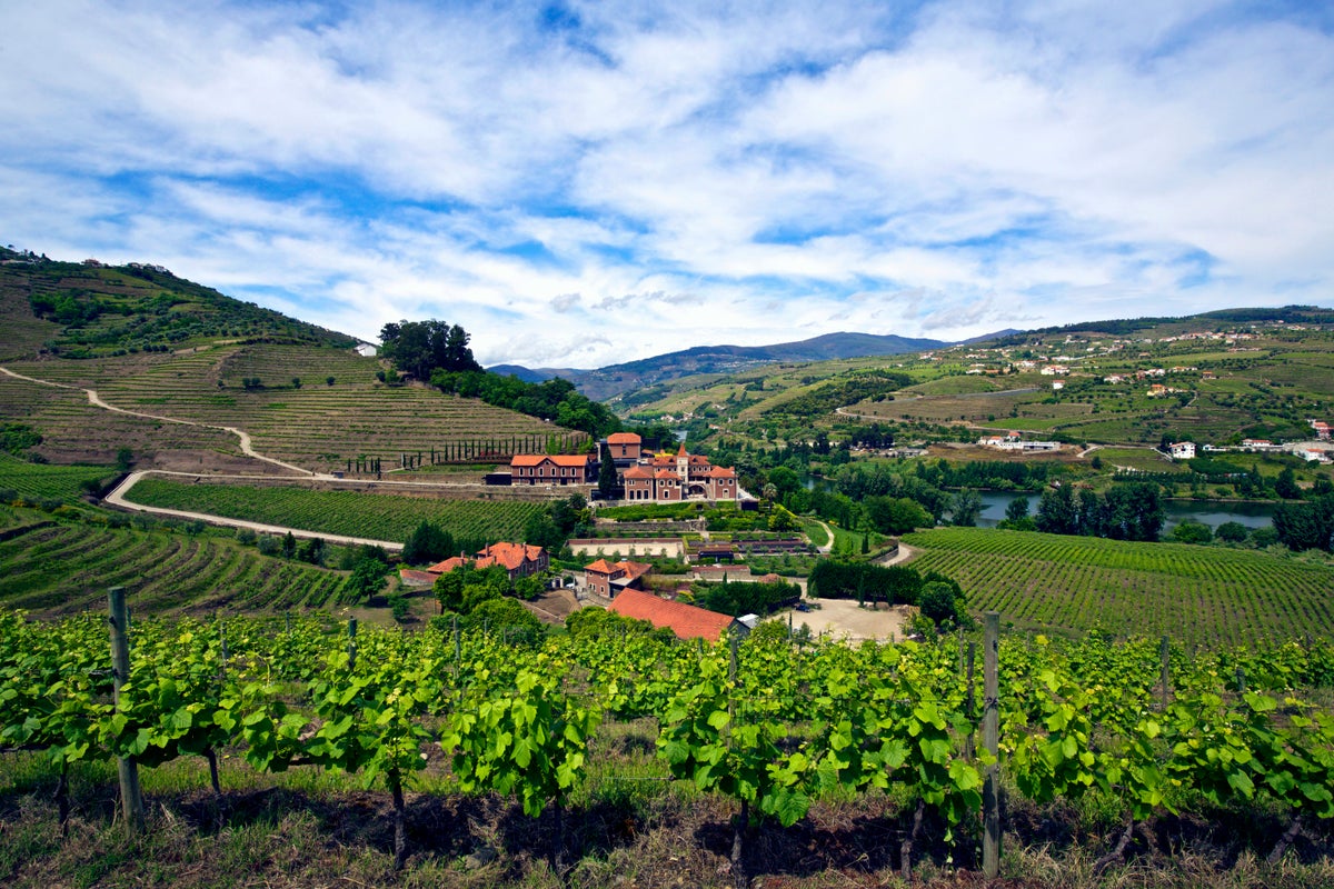 Six Senses Douro Valley vineyard panorama — rolling Douro hills and manor estate, Portugal