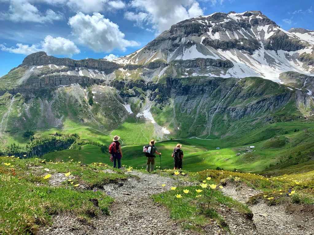 Taste of the Alps