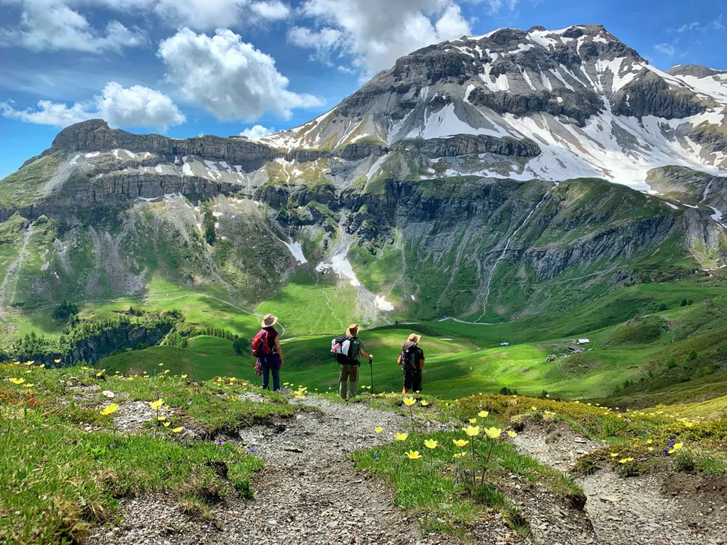Taste of the Alps