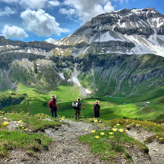Los visitantes recorren un sendero de montaña bordeado de flores, entre valles verdes y cumbres nevadas, bajo un cielo nublado, disfrutando así de la naturaleza y del aire puro.