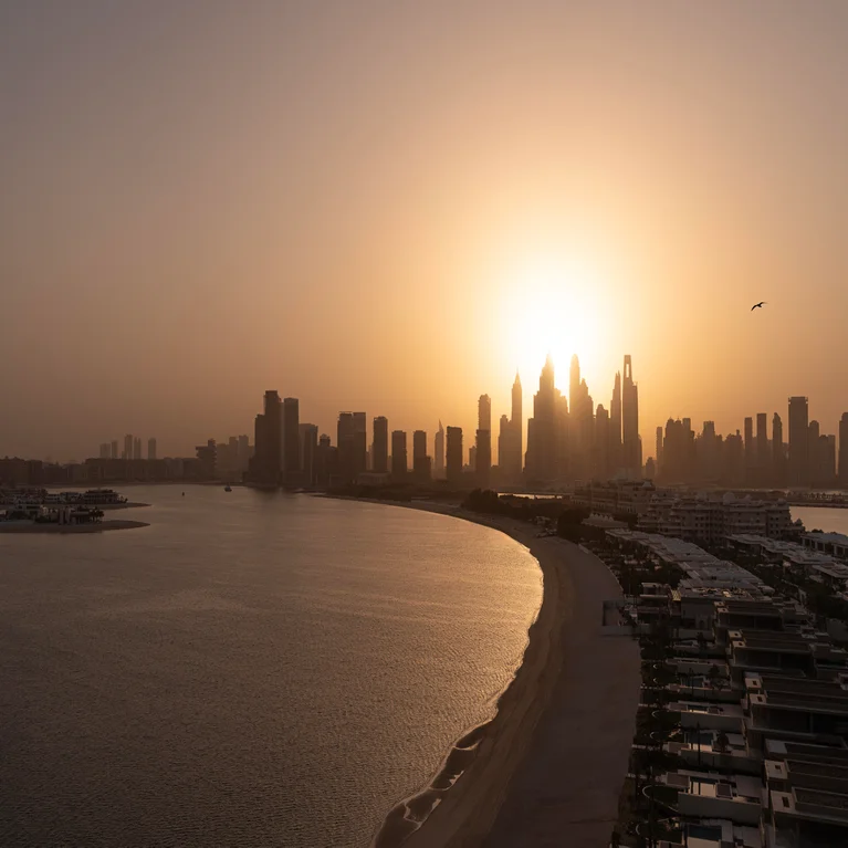 Skyscrapers form a distinct skyline at dusk, viewed across calm water and a gently curving coast, with one bird soaring in the tranquil sky.