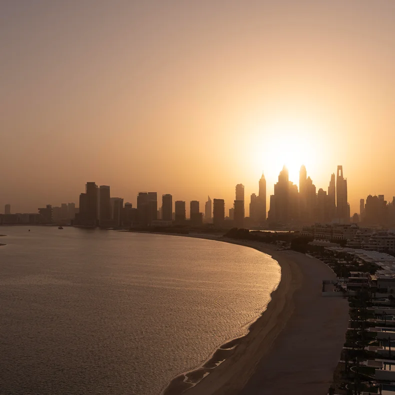Skyscrapers form a distinct skyline at dusk, viewed across calm water and a gently curving coast, with one bird soaring in the tranquil sky.