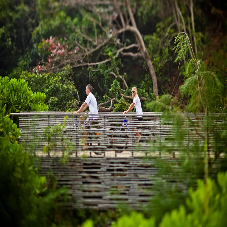 Guests cycle across a wooden bridge lined with greenery and abundant plant life, connecting with nature in a tranquil, sustainable environment.