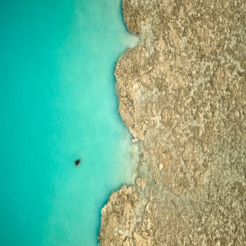 An individual relaxes in calm turquoise water by a textured, beige rocky shoreline, viewed from above, emphasizing harmony between nature and serenity.