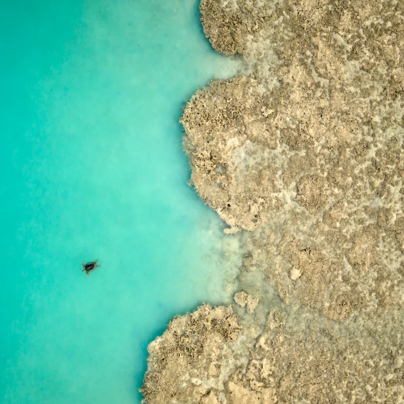 An individual relaxes in calm turquoise water by a textured, beige rocky shoreline, viewed from above, emphasizing harmony between nature and serenity.