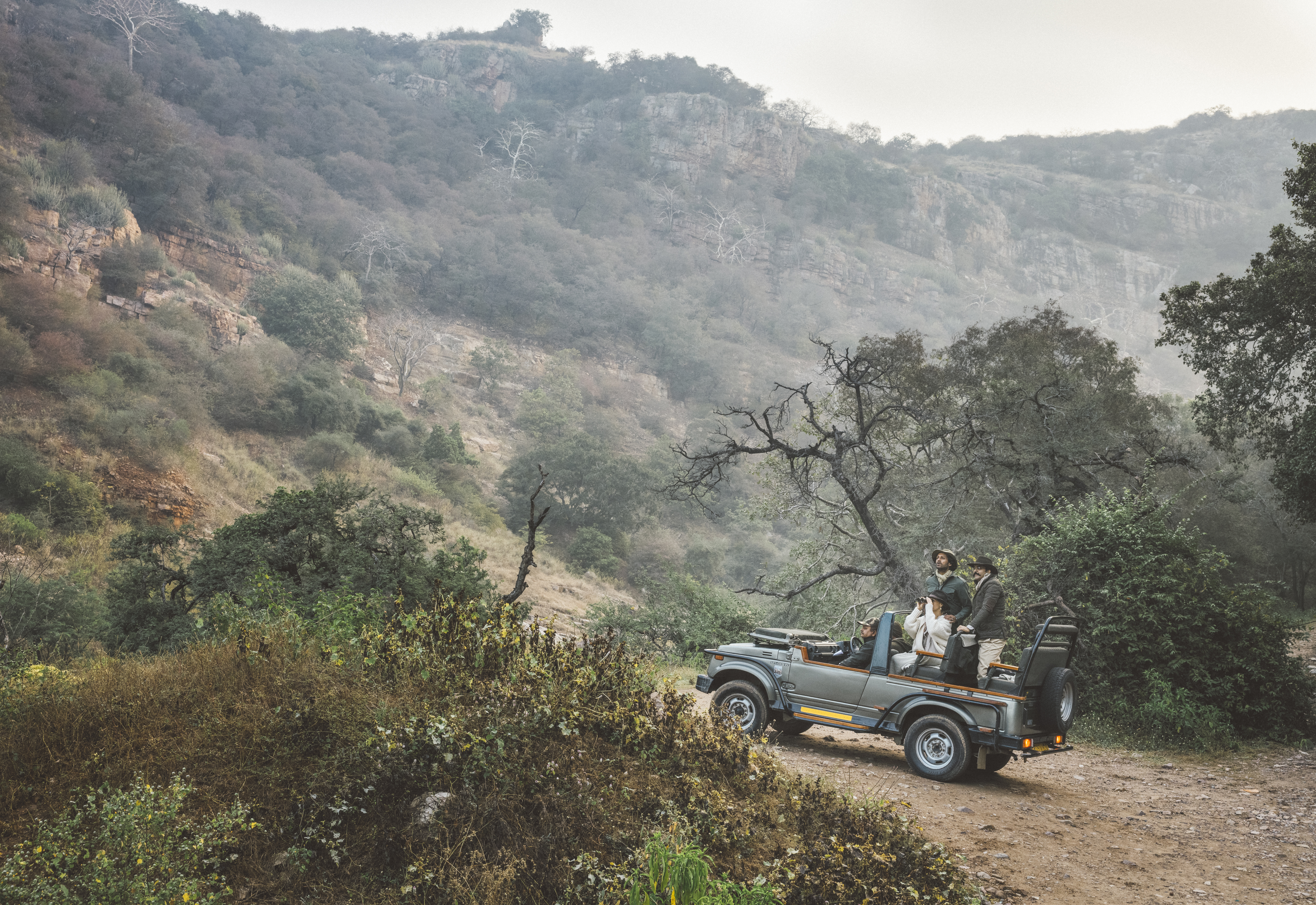 Safari in Ranthambore