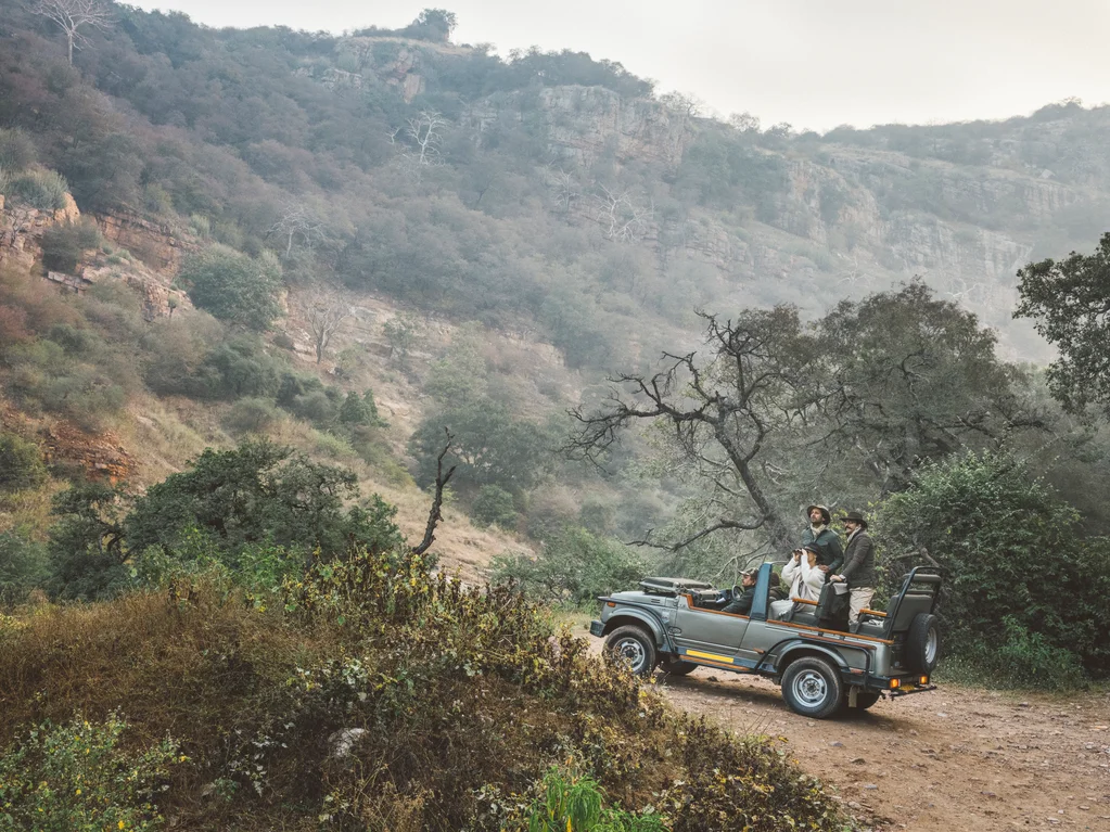 Safari à Ranthambore