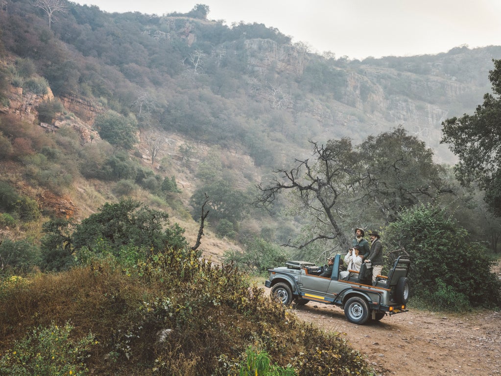 Tiger Safari in Ranthambore