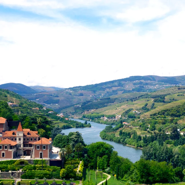 River curves through green hills with red-roofed buildings in the foreground and terraced vineyards along the slopes beneath a partly cloudy sky.