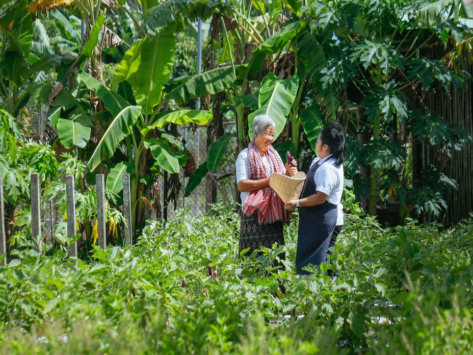 Khmer Farmhouse: Garden to Table