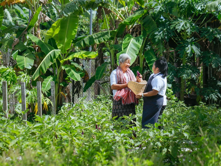Khmer Farmhouse: Garden to Table