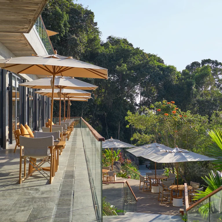 Una zona de comedor con mesas, sillas y sombrillas con vistas al bosque, diseñada para proporcionar comodidad y una conexión con la naturaleza a cielo abierto.
