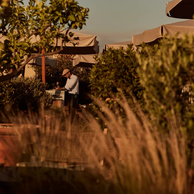 午後の穏やかな光の下、植物に囲まれ、大きな傘で日陰になった屋外の庭のテーブルのそばに、帽子をかぶった人物が立っている。.