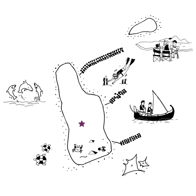 图文并茂的岛屿地图,以浮潜、海豚、海龟、乘船、篝火聚会、黄貂鱼为特色,并用紫色星星标出岛上的具体位置。.